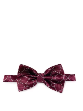 Formal Burgundy Bow Tie Set