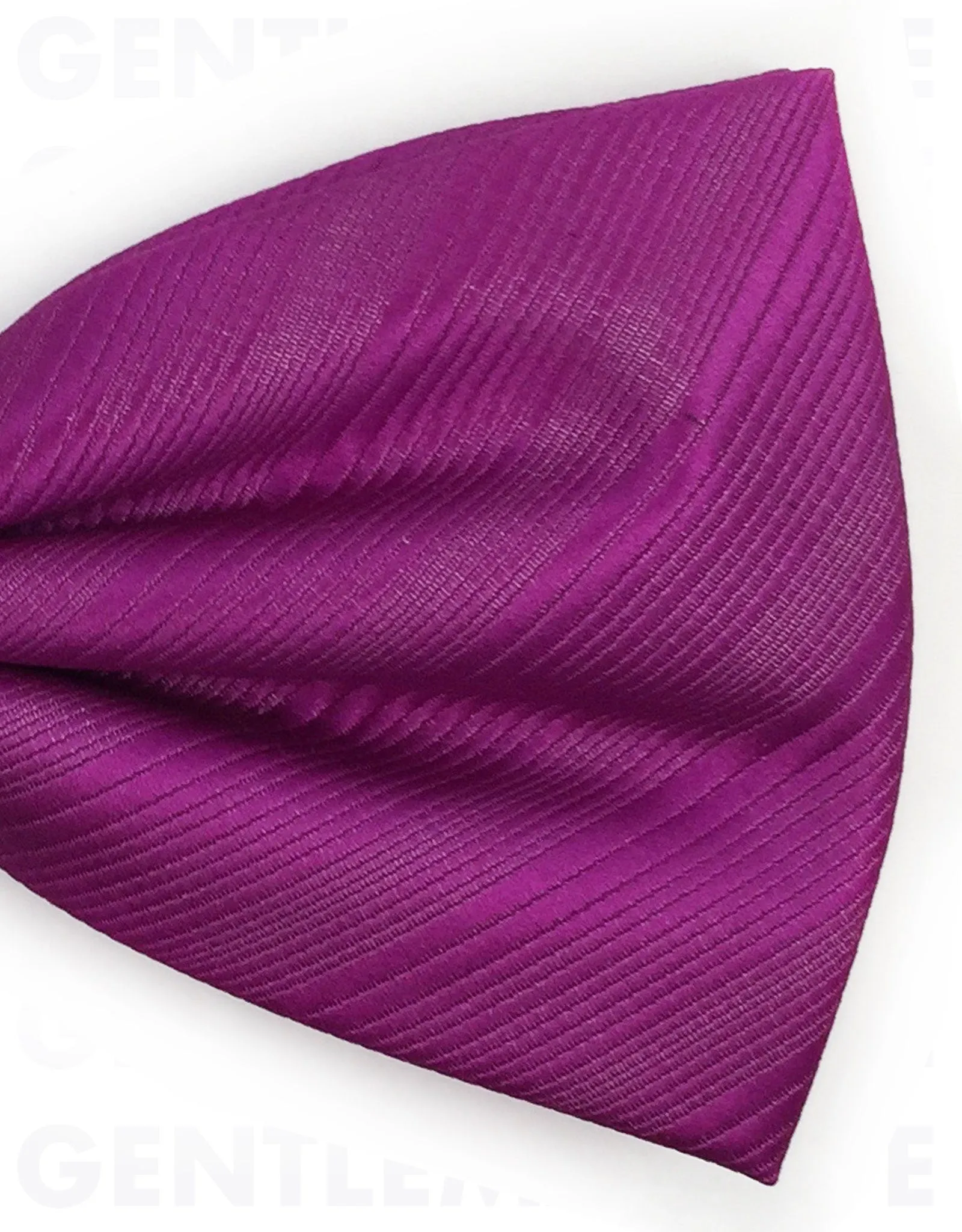 Fuscia Bow tie